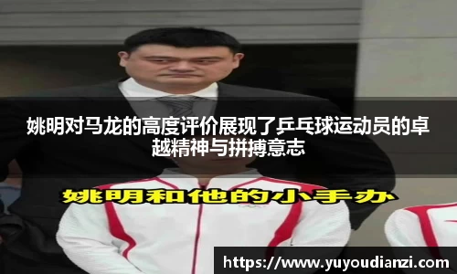 姚明对马龙的高度评价展现了乒乓球运动员的卓越精神与拼搏意志